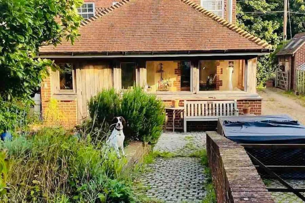 Nature Charm & Fruit Delights, Multi-Generation Celebratory Home -Try, Relax, Repeat - Sellindge Ashford  Exteriér fotografie