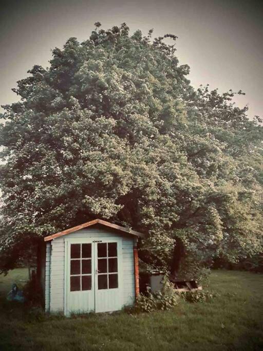Nature Charm & Fruit Delights, Multi-Generation Celebratory Home -Try, Relax, Repeat - Sellindge Ashford  Exteriér fotografie