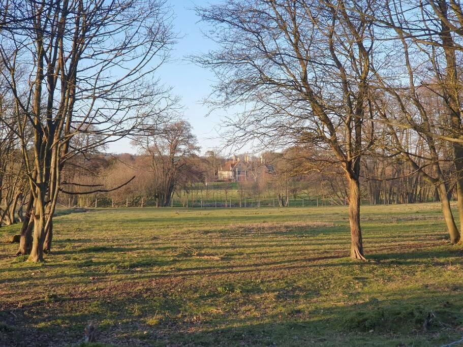Nature Charm & Fruit Delights, Multi-Generation Celebratory Home -Try, Relax, Repeat - Sellindge Ashford  Exteriér fotografie
