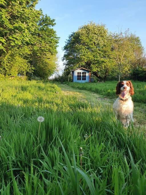 Nature Charm & Fruit Delights, Multi-Generation Celebratory Home -Try, Relax, Repeat - Sellindge Ashford  Exteriér fotografie