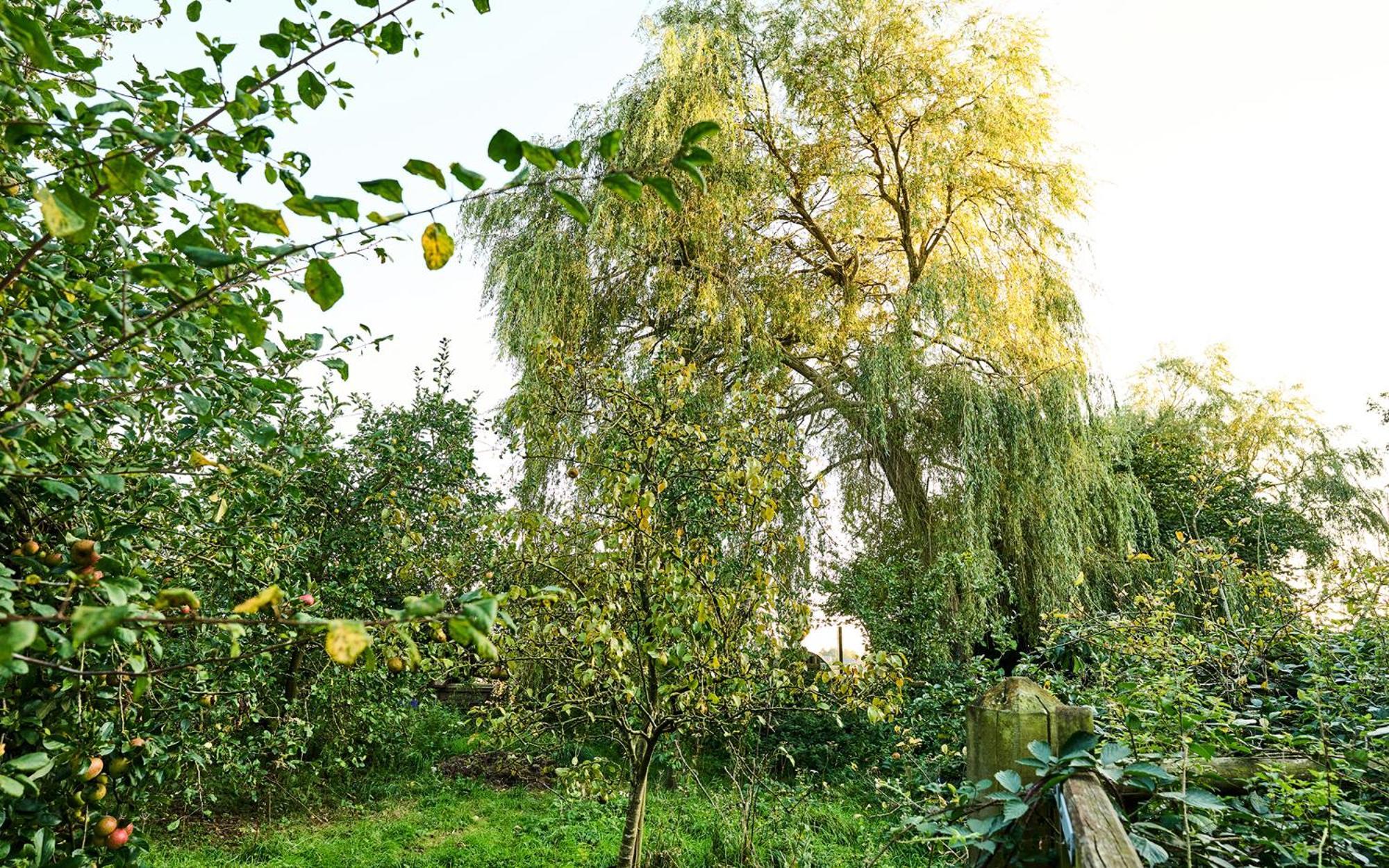 Nature Charm & Fruit Delights, Multi-Generation Celebratory Home -Try, Relax, Repeat - Sellindge Ashford  Exteriér fotografie